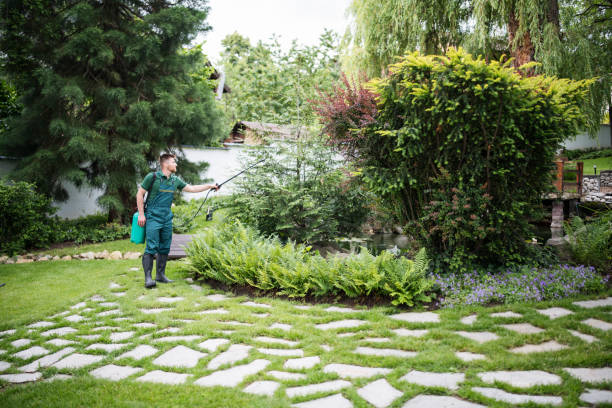 Best Lawn Renovation and Restoration  in Point Roberts, WA