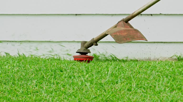 Grass Overseeding in Point Roberts, WA